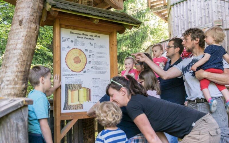 Eine Gruppe von Erwachsenen und Kindern liest und bespricht ein Lehrschild über Baumringe und Alter in einem Waldstück im Freien.