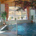 Hallenbad mit gefliestem Rand und mehreren Topfpflanzen, umgeben von großen Fenstern mit bunten Vorhängen und einer Holzdecke.