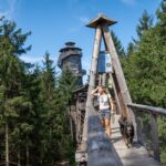 Eine Frau geht mit einem großen Hund über eine Holzbrücke, die von hohen Bäumen umgeben ist. Im Hintergrund ist unter einem klaren Himmel ein Holzturm zu sehen.