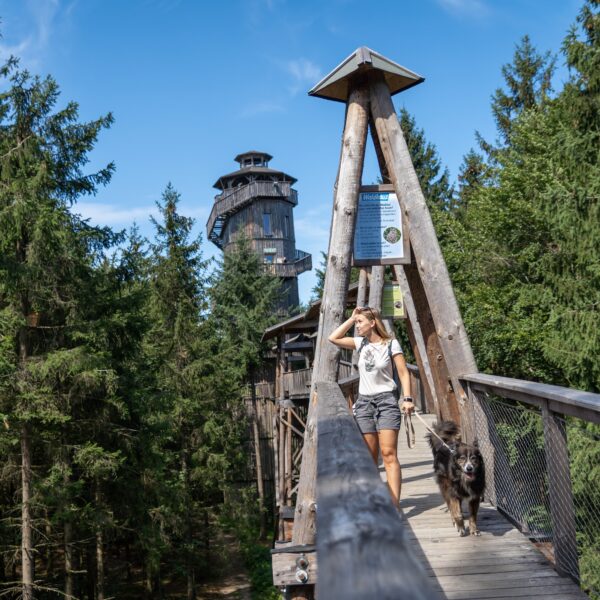 Eine Frau geht mit einem großen Hund über eine Holzbrücke, die von hohen Bäumen umgeben ist. Im Hintergrund ist unter einem klaren Himmel ein Holzturm zu sehen.