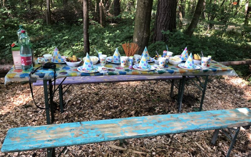 Ein Picknicktisch in einem Wald ist für eine Kinderparty mit bunten Hüten, Tellern, Tassen, Snacks und Getränken auf einer abgenutzten Holzbank und einem Tisch gedeckt.