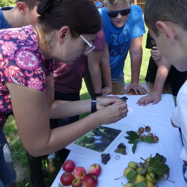 Eine Frau zeigt einer Gruppe von Kindern verschiedene Früchte und Blätter auf einem weißen Tisch im Freien, wahrscheinlich im Rahmen einer pädagogischen oder Naturaktivität.