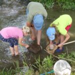 Drei Kinder stehen in einem seichten Bach und untersuchen mit einem Netz, einem Behälter und einem Stock einen Felsen und Wasser, umgeben von Grün.
