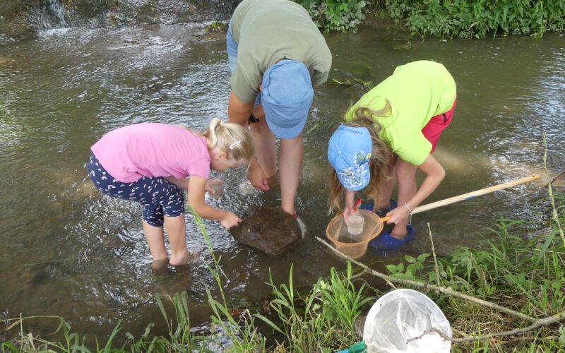 Drei Kinder stehen in einem seichten Bach und untersuchen mit einem Netz, einem Behälter und einem Stock einen Felsen und Wasser, umgeben von Grün.