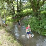 An einem sonnigen Tag gehen drei Kinder mit Fischernetzen in der Hand durch einen seichten Bach, umgeben von Bäumen und grüner Vegetation.