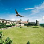 Ein großer Vogel schwebt über einem gepflegten Rasen, der von historischen Steingebäuden und gewölbten Gehwegen unter blauem Himmel umgeben ist.