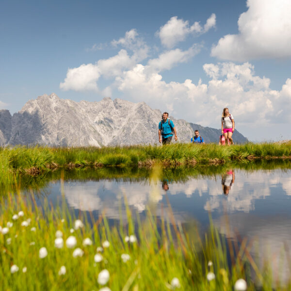 Vier Personen wandern an einem ruhigen Bergsee, mit hohem Gras und weißen Wildblumen im Vordergrund und schroffen Gipfeln unter einem teilweise bewölkten Himmel im Hintergrund.