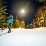 Langläufer auf einer schneebedeckten Loipe bei Nacht unter Straßenbeleuchtung, umgeben von Bäumen.