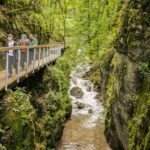 Drei Personen gehen auf einer Holzbrücke über eine enge, felsige Schlucht mit einem fließenden Bach, umgeben von dichter grüner Vegetation.