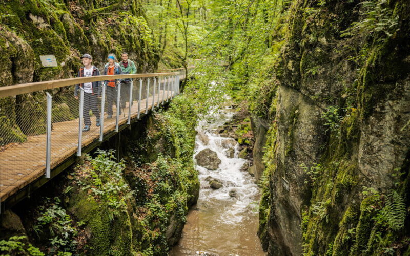 Drei Personen gehen auf einer Holzbrücke über eine enge, felsige Schlucht mit einem fließenden Bach, umgeben von dichter grüner Vegetation.