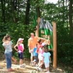 Eine Gruppe von Kindern und ein Erwachsener betrachten an einem sonnigen Tag ein Informationsschild in einem Waldgebiet.