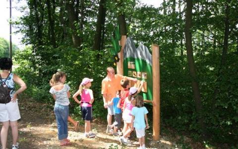 Eine Gruppe von Kindern und ein Erwachsener betrachten an einem sonnigen Tag ein Informationsschild in einem Waldgebiet.