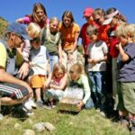 Eine Gruppe von Kindern und Erwachsenen versammelt sich an einem sonnigen Tag im Freien um einen offenen Behälter und schaut neugierig hinein.