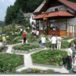 An einem sonnigen Tag geht man durch einen Garten mit sechseckigen Parzellen vor einem Holzhaus.