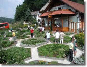 An einem sonnigen Tag geht man durch einen Garten mit sechseckigen Parzellen vor einem Holzhaus.