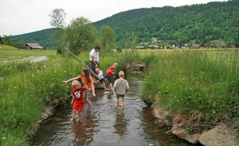 Mehrere Kinder und ein Erwachsener waten durch einen seichten Bach in einer ländlichen Gegend mit grünen Feldern, Bäumen und Hügeln im Hintergrund.