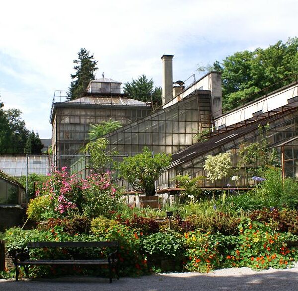 Ein Gewächshauskomplex mit gläsernen Strukturen, umgeben von üppigen grünen Pflanzen, Blumen und einer Bank in einer Gartenanlage unter einem teilweise bewölkten Himmel.