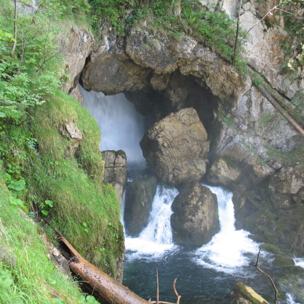 Ein Wasserfall fließt durch eine felsige Höhle, die von grüner Vegetation und moosbewachsenen Felsen in einem Waldgebiet umgeben ist.