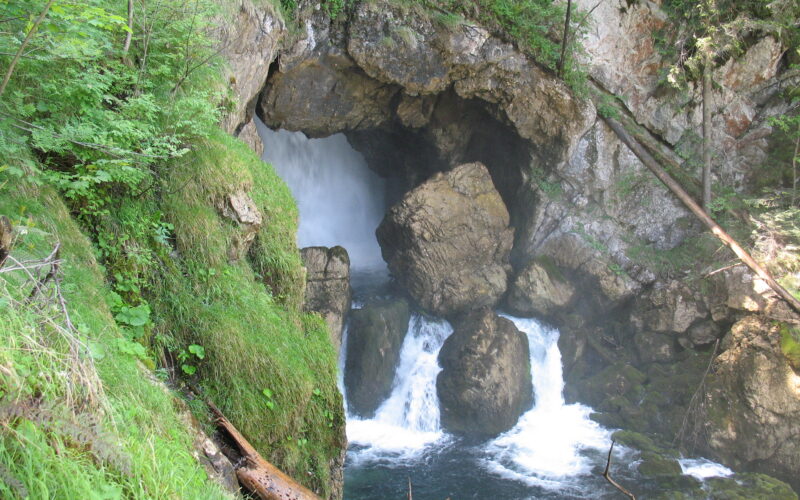 Ein Wasserfall fließt durch eine felsige Höhle, die von grüner Vegetation und moosbewachsenen Felsen in einem Waldgebiet umgeben ist.