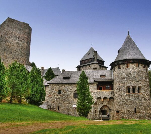 Eine steinerne Burg mit mehreren Türmen und kegelförmigen Dächern, umgeben von Bäumen und grünem Gras, unter einem klaren Himmel.