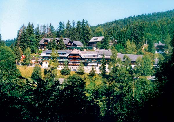 Eine Ansammlung von Gebäuden mit Schrägdächern liegt an einem bewaldeten Hang, umgeben von dichten Bäumen und Grünflächen unter einem klaren Himmel.