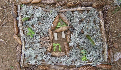 Ein rechteckiger Rahmen aus Stöcken, Tannenzapfen und Moos, der auf dem Boden angeordnet wird, um ein Haus mit Dach, Tür und Fenstern aus natürlichen Materialien darzustellen.