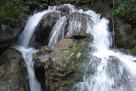 In einem Waldbach stürzt das Wasser in Kaskaden über moosbewachsene Felsen und bildet kleine Wasserfälle und Wildwasser.