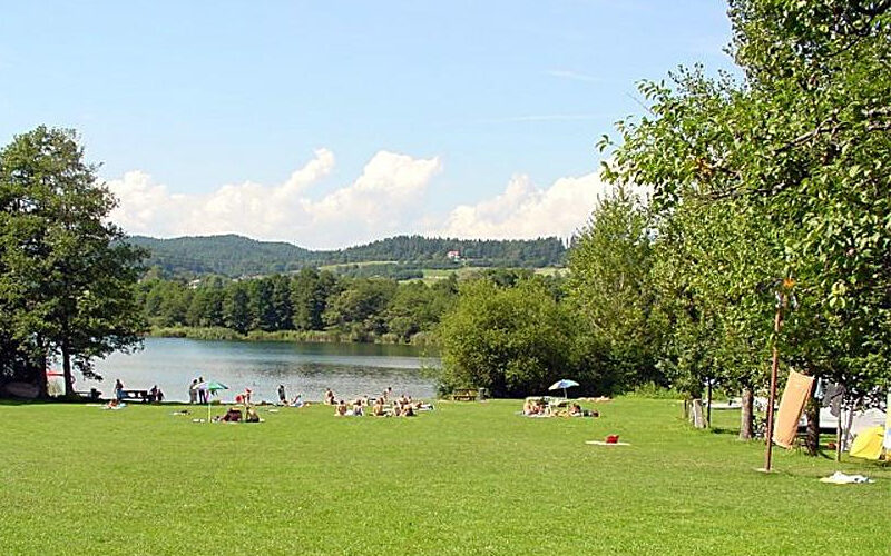 Menschen entspannen sich auf einer Wiese neben einem See mit Bäumen und Hügeln im Hintergrund unter einem teilweise bewölkten Himmel.