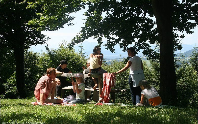 Eine Gruppe von Menschen, darunter Erwachsene und Kinder, macht ein Picknick auf einer Wiese unter Bäumen mit einem hölzernen Picknicktisch und einem malerischen Hintergrund.