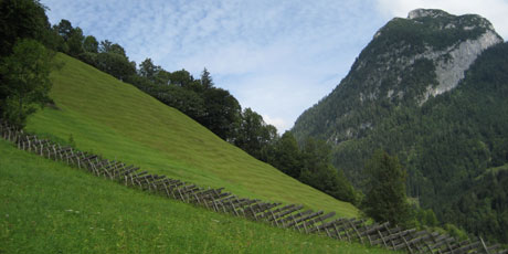 Ein grasbewachsener Hügel mit einem Holzzaun, Bäumen entlang des Hangs und einem bewaldeten Berg, der sich im Hintergrund unter einem teilweise bewölkten Himmel erhebt.