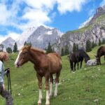 Eine Person mit Wanderstöcken steht neben einem braunen Pferd; zwei weitere Pferde grasen in einer bergigen Landschaft unter einem teilweise bewölkten Himmel.