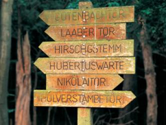 Verwitterter Holzwegweiser mit mehreren Richtungspfeilen, die jeweils mit deutschen Ortsnamen beschriftet sind, in einem Waldgebiet.