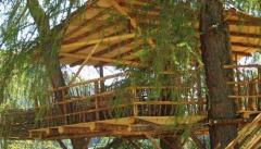 Ein hölzernes Baumhaus mit schrägem Dach ist zwischen hohen Bäumen gebaut und von grünem Laub umgeben.