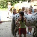 Eine Gruppe von Kindern streichelt und bürstet Ponys im Freien, während ein Erwachsener in der Nähe steht und zusieht.