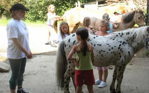 Eine Gruppe von Kindern streichelt und bürstet Ponys im Freien, während ein Erwachsener in der Nähe steht und zusieht.