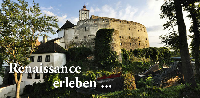 Ein steinernes Schloss mit einem runden Turm steht auf einem Hügel, umgeben von Grün, mit den Worten "Renaissance erleben ..." in weißer Schrift im Vordergrund.