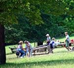 Kinder spielen auf einer Wippe in einem grasbewachsenen Park mit Bäumen und Picknickbänken im Hintergrund.