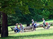 Kinder spielen auf einer Wippe in einem grasbewachsenen Park mit Bäumen und Picknickbänken im Hintergrund.
