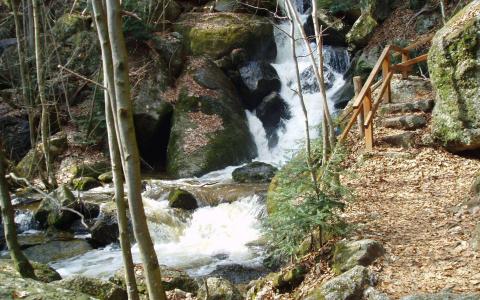 Ein kleiner Wasserfall fließt über Felsen in einem bewaldeten Gebiet, mit einem Holzgeländer und Steinstufen auf der rechten Seite des Bildes.