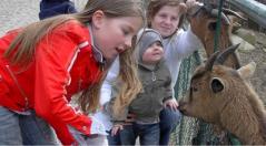 Drei Kinder streicheln und beobachten eine Ziege durch einen Zaun in einem Außenbereich.