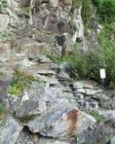 Ein felsiger Abhang mit vereinzelter grüner Vegetation und einem kleinen weißen Schild zwischen den Felsen.