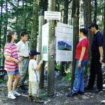 Fünf Personen stehen in einem Waldgebiet und lesen Informationstafeln, die an einem Pfosten entlang eines Waldweges angebracht sind.