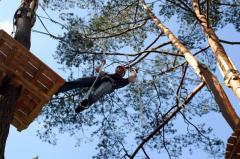 Eine Person in einem Gurtzeug seilt sich zwischen hölzernen Plattformen hoch oben in den Bäumen gegen einen blauen Himmel ab.