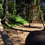 Ein Hindernisparcours aus Holz mit Seilen und Baumstämmen zwischen hohen Bäumen in einem bewaldeten Gebiet. Das Sonnenlicht fällt durch die Bäume auf den mit Raufaser bedeckten Boden.