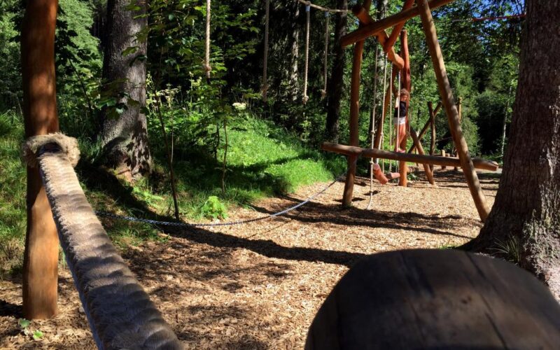 Ein Hindernisparcours aus Holz mit Seilen und Baumstämmen zwischen hohen Bäumen in einem bewaldeten Gebiet. Das Sonnenlicht fällt durch die Bäume auf den mit Raufaser bedeckten Boden.