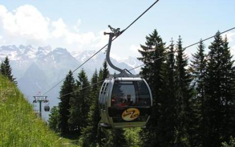 Eine Seilbahn fährt einen Berghang hinauf, umgeben von Kiefern und fernen schneebedeckten Gipfeln unter einem klaren Himmel.