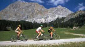 Drei Personen fahren mit ihren Fahrrädern auf einem Schotterweg durch eine grasbewachsene Gegend mit großen Bergen und einem Wald im Hintergrund unter einem blauen Himmel.