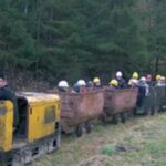 Eine kleine gelbe Grubenbahn mit offenen Wagen befördert Menschen mit Helmen durch eine Wiese neben einem Wald.