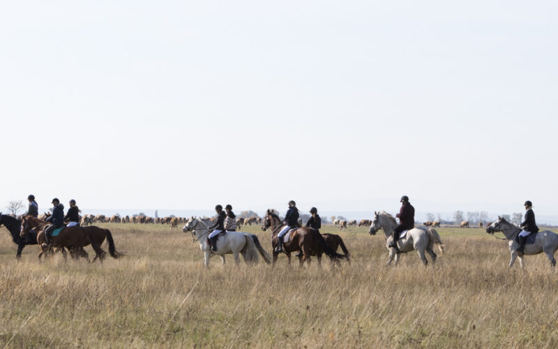 Eine Gruppe von Menschen reitet auf Pferden über ein offenes, grasbewachsenes Feld unter einem klaren Himmel.