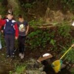 Vier Kinder stehen an einem kleinen Bach; drei stehen am Ufer, während eines ein gelbes Netz benutzt, um etwas im Wasser zu fangen.